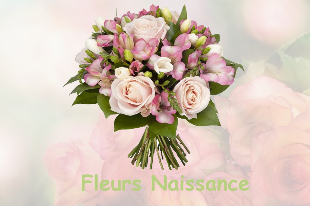 fleurs naissance LA-CROIX-SAINT-LEUFROY